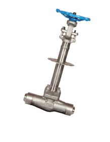 Stainless Steel 316L Forged Steel Cryogenic Valve